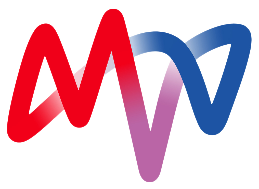 2017 Mannheim - Logo